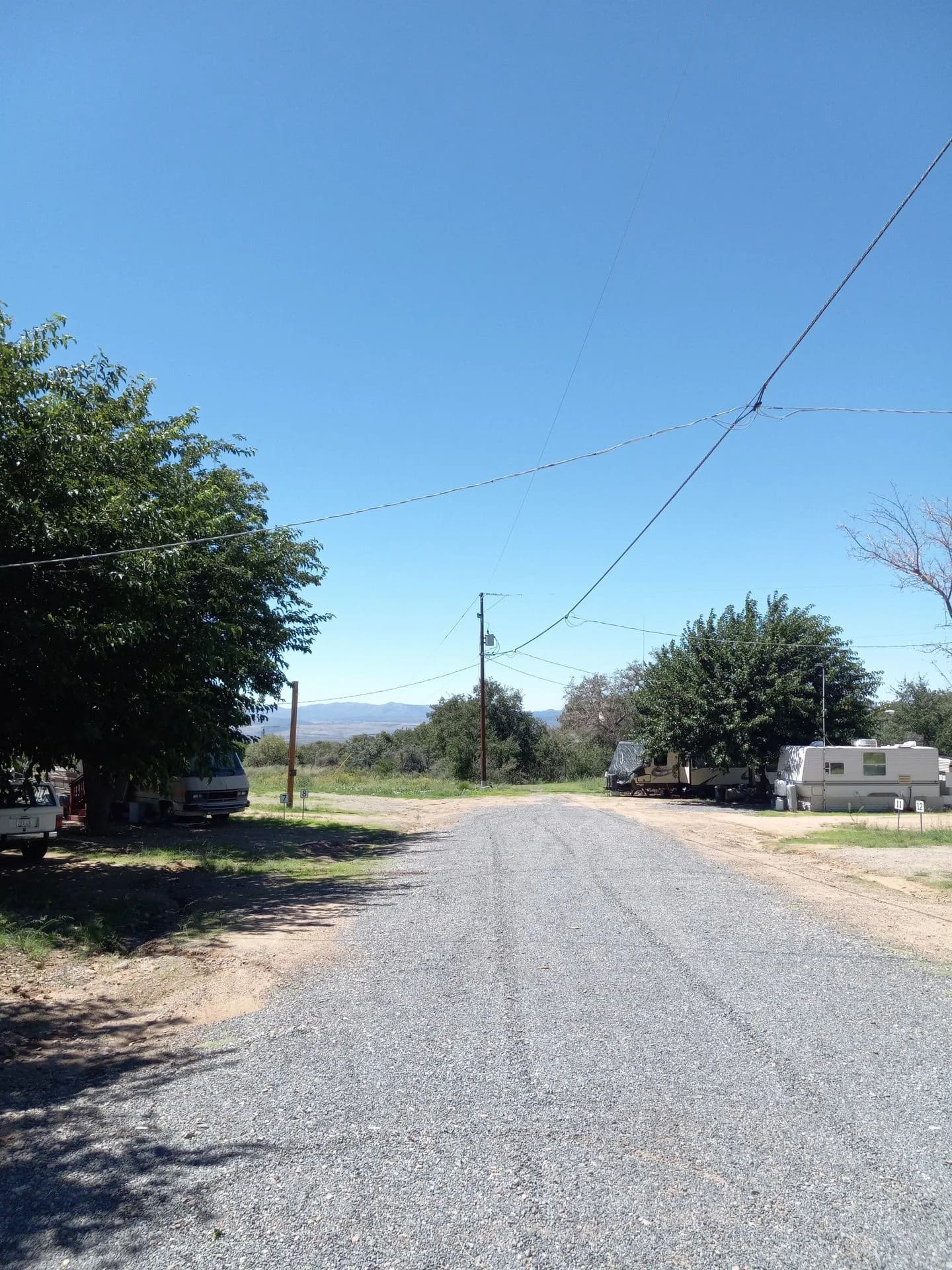 Tree-lined lane and RV sites at Burro RV Park